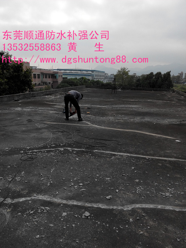 ѿpa© (3)