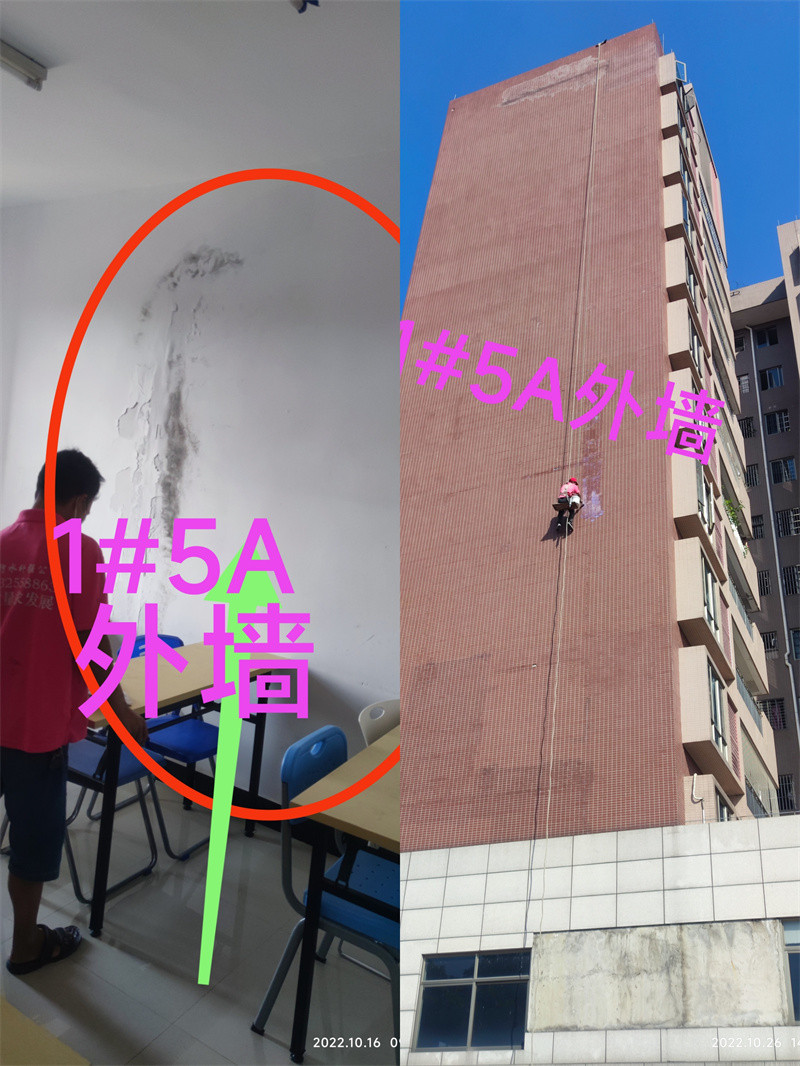 չʾ (1)