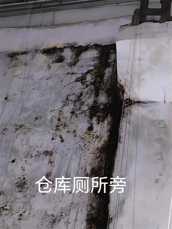 չʾ (2)