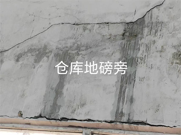 չʾ (1)
