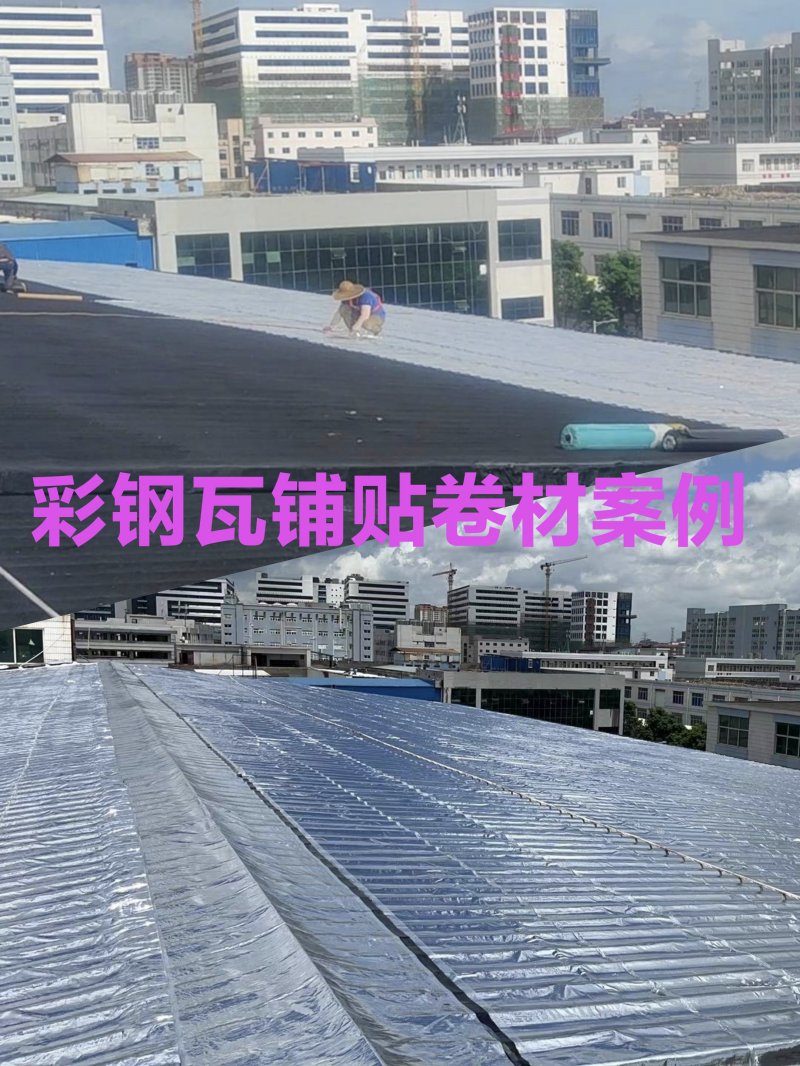 2025ʩ (1)